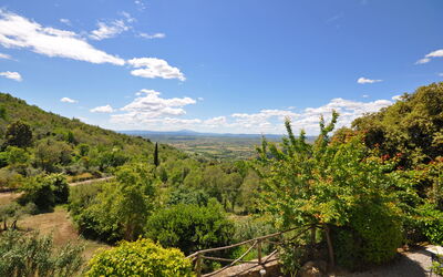Alloggio:&nbsp;Castagno 2