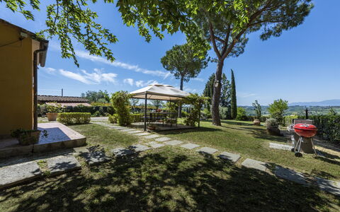 Villa Quintino: Arbusto, Giardino, Shade, Landscaping, Cortile, Sedia, Flagstone, Mobili Da Esterno, Backyard, Eco Hotel