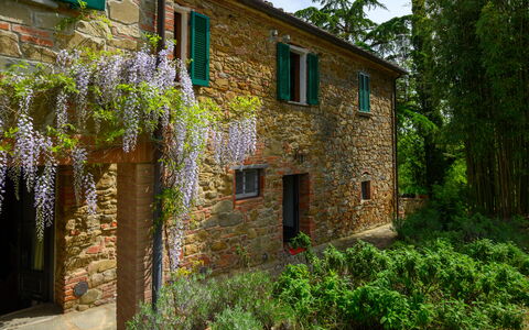 Villa the Horses: Arbusto, Giardino, Brick, Muro ​​Di Pietra