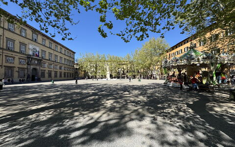Alla Torre: Albero, Manto Stradale, Spazio Pubblico, Città, Strada, La Piazza Cittadina, Insediamento Umano, Shade, Plaza