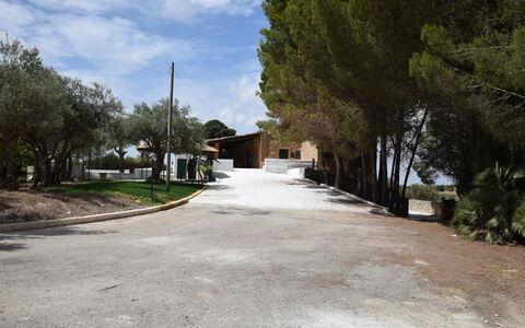 Villa Chiaramonte Gulfi: Albero, Manto Stradale, Driveway, Shade, Landscaping, Hacienda, Ombra, Sentiero