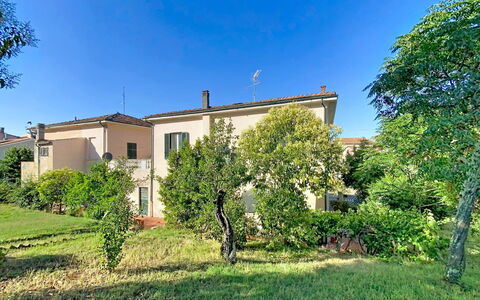 Lucia e Francesco: Arbusto, Zona Residenziale, Casa, Giardino, Prato, Estate, Sobborgo, Cortile, Landscaping, Backyard