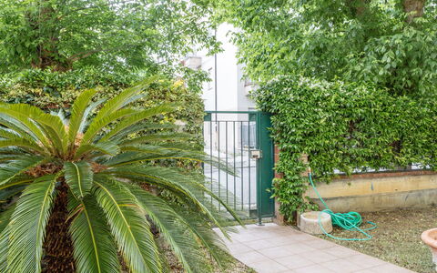 Corte Marina Apartment: Verde, Foglia, Vegetazione, Arbusto, Woody Impianto, Giardino, Shade, Landscaping, Sempreverde