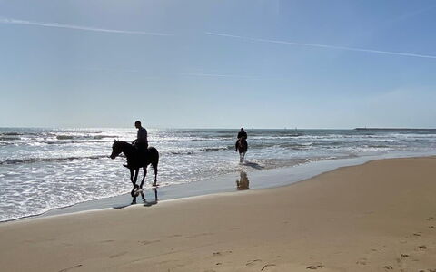 Appartamento Tramonto sul Mare: Spiaggia, Cavallo, Mare, Costa, Ricreazione, Oceano, Riva, Costiera E Morfologie Oceanic, Sabbia