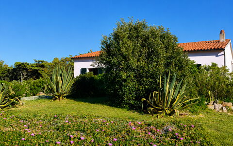 Villa Vignola
