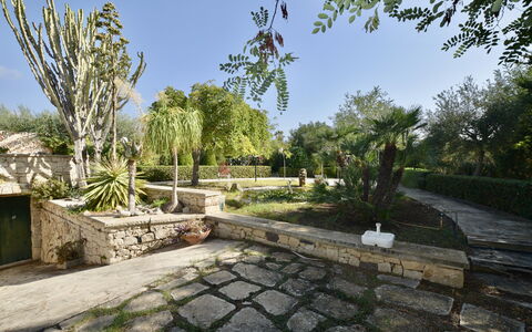 Villa Lina: Albero, Vegetazione, Arbusto, Giardino, Flagstone, Passerella, Woody Impianto, Landscaping, Shade, Giardino Botanico