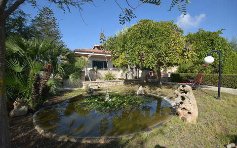 Villa Lina: Albero, Arbusto, Giardino, Landscaping, Giochi D'Acqua, Estate, Hacienda, Shade, Backyard