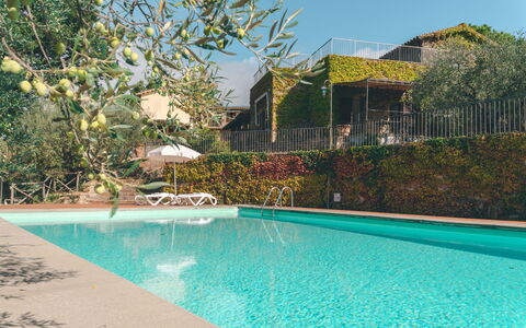 House in the Woods, Pool and Relax in Umbria: Piscina, Ricorrere, Eco Hotel, Hacienda, Estate, Villa, Shade, Giardino, Backyard, Landscaping