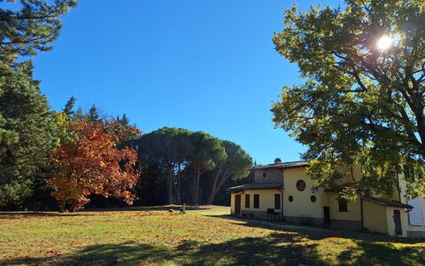 House in the Woods, Pool and Relax in Umbria: Albero, Erba, Foglia, Ramo, Casa, Casa, Plain, Lotto, Prato, Tronco