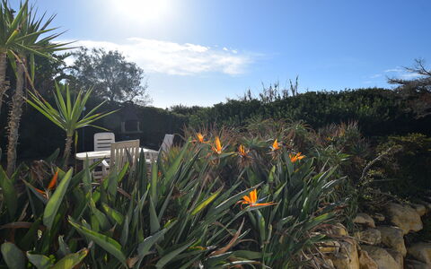 Punta Braccetto Fronte Mare: Giardino, Landscaping, Giardino Botanico