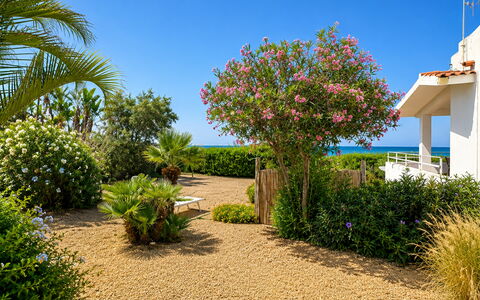Punta Braccetto Fronte Mare: Fiore, Verde, Arbusto, Giardino, Comunita 'Impianto, Groundcover, Landscaping, Passerella, Giardino Botanico