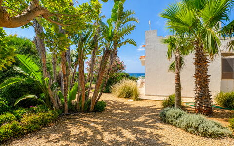 Punta Braccetto Fronte Mare: Verde, Vegetazione, Arbusto, Paesaggio, Giardino, Landscaping, Passerella, Shade