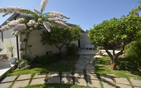 Villa Benvenuti al Sud: Giardino, Shade, Backyard, Landscaping, Cortile, Flagstone, Passerella, Cortile, Struttura Esterna