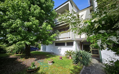 Alle Gardenie: Arbusto, Zona Residenziale, Casa, Giardino, Estate, Cortile, Shade, Landscaping, Driveway, Backyard