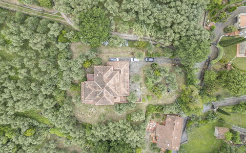 Villa Golly: Paesaggio, Estate, Fotografia Aerea, Villaggio, Piantagione, Visione Globale, Giungla, Dimora, Chaparral