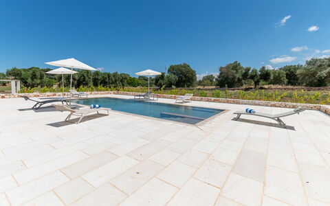 Tenuta Emma: Giardino, Landscaping, Riflessione, Mobili Da Esterno, Reflecting Pool, Giochi D'Acqua