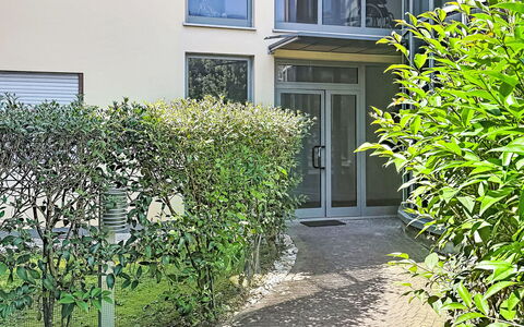 Nala: Arbusto, Urban Design, Giardino, Hedge, Shade, Cortile, Landscaping, Backyard, Cortile