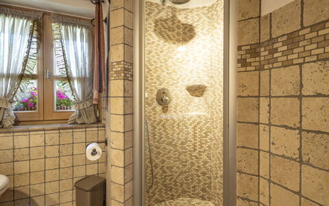 Chalet Ralon: Idraulico Fixture, Pavimentazione, Interior Design, Pavimento, Bagno, Idraulico, Piastrella, Rubinetto, Soffitto, Camera