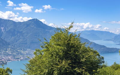 Il Cervo