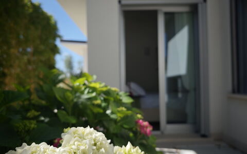 Villa Mulberry Garden - Esclusiva con Piscina Priv: Fiore, Petalo, Pianta Fiorita, Giardino, Landscaping, Illuminazione Diurna, Hydrangeaceae, Ortensia, Balcone