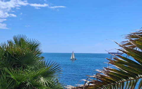 Oasis Villa Sanremo: Blu, Giorno, Corpo D'Acqua, Mare, Orizzonte, Moto D'Acqua, Costiera E Morfologie Oceanic, Oceano, Barca, Spiaggia