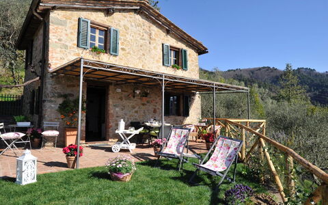 Oliveta: Villetta, Backyard, Sedia, Cortile, Tavolo Esterno, Mobili Da Esterno, Portico, Agriturismo, Pianta Della Casa, Bicicletta