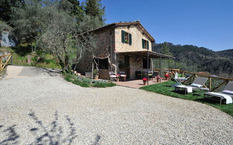 Oliveta: Area Rurale, Villetta, Villaggio, Agriturismo, Paesino Di Montagna, Driveway, Villa, Backyard