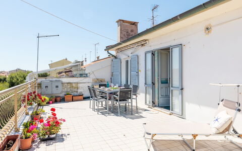 Attico del Corso: Appartamento, Balcone, Vaso Di Fiori, Pianta Della Casa, Bicicletta, Bicicletta Forcella