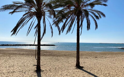 Il Favollo: Blu, Corpo D'Acqua, Spiaggia, Costa, Mare, Costiera E Morfologie Oceanic, Riva, Sabbia, Oceano, Tropici