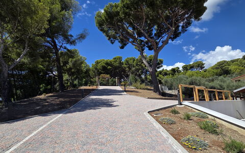 Villa Pineta della Rovere: Albero, Spazio Pubblico, Passerella, Pendenza, Shade, Landscaping, Driveway, Sentiero, Le Scale, Trail