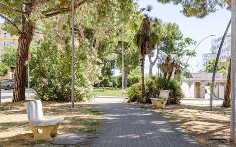 Casabianca: Albero, Ramo, Spazio Pubblico, Shade, Tronco, Woody Impianto, Panchina, Banco, Marciapiede
