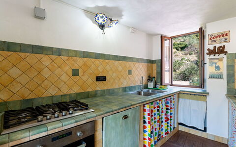 Ca Dell'Andre: Cucina, Legna, Controsoffitto, Interior Design, Pavimentazione, Apparecchio Major, Cucina Stufa, Elettrodomestico Da Cucina, Stufa, Pavimento