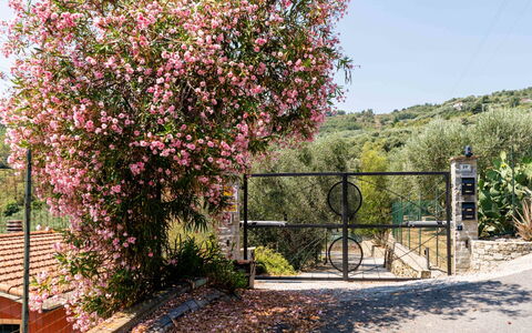 Orto di Silvia: Fiore, Arbusto, Rosa, Primavera, Giardino, Recinzione, Rose Di Famiglia, Fiorire