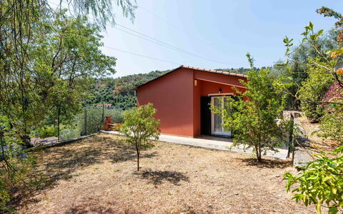 Orto di Silvia: Foglia, Paesaggio, Lotto, Area Rurale, Pendenza, Shade, Edifici Giardino, Agriturismo