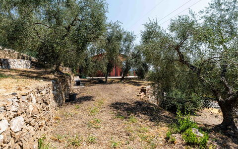 Orto di Silvia: Albero, Foglia, Ramo, Tronco, Suolo, Woody Impianto, Landscaping, Trail, Backyard
