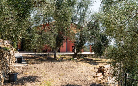 Orto di Silvia: Albero, Foglia, Ramo, Insediamento Umano, Tronco, Woody Impianto, Ramoscello, Shade, Backyard, Cortile
