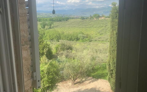 Il Casale al Colle: Luce Del Sole, Bicchiere, Piantagione, Illuminazione Diurna