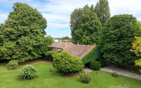 Villa Dorina: Albero, Foglia, Erba, Verde, Arbusto, Casa, Paesaggio, Prato, Casa