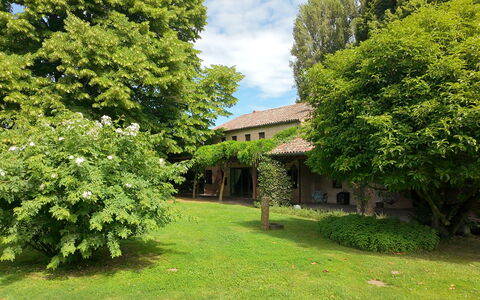 Villa Dorina: Albero, Foglia, Arbusto, Prato, Giardino, Villetta, Estate, Backyard, Agriturismo