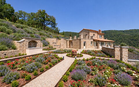 Villa Maddalena alla Guglielmesca: Fiore, Giardino, Arbusto, Comunita 'Impianto, Groundcover, Landscaping, Giardino Botanico, Piantagione, Wildflower