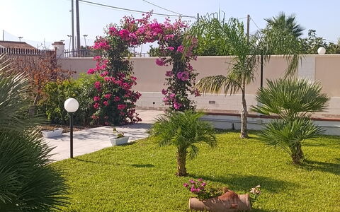 Villa Gloria: Fiore, Arbusto, Rosa, Giardino, Pianta Fiorita, Primavera, Landscaping, Prato, Cortile