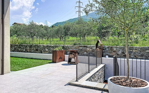 Aura: Giardino, Calcestruzzo, Shade, Flagstone, Landscaping, Backyard, Passerella, Cortile, Cortile, Driveway