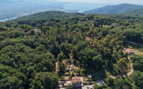 La Rustica: Ambiente Naturale, Vegetazione, Paesaggio, Comunita 'Impianto, Foresta, Hill Station, Visione Globale, Giungla, Fotografia Aerea, Villaggio