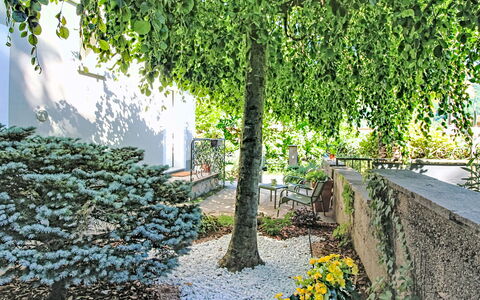 Boscolago: Foglia, Verde, Vegetazione, Arbusto, Giardino, Groundcover, Primavera, Woody Impianto, Shade, Ramoscello