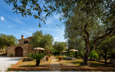 Casale delle Lupe, Campiglia Marittima: Giardino, Estate, Hacienda, Landscaping, Agriturismo, Cortile, Villa, Shade, Backyard, Driveway