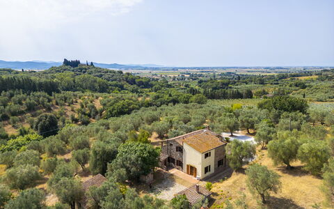 Casale delle Lupe, Campiglia Marittima: Albero, Erba, Paesaggio Naturale, Paesaggio, Area Rurale, Pascolo, Lotto, Plain, Comunita 'Impianto