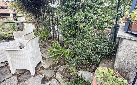 Colazza 100: Arbusto, Vaso Di Fiori, Giardino, Pianta Della Casa, Recinzione, Erba