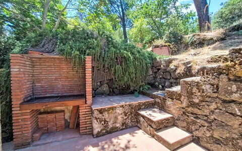 Il Giardino di Lara: Brick, Giardino, Muro ​​Di Pietra, Shade, Landscaping, Suolo, Backyard, Le Scale, Struttura Esterna, Flagstone