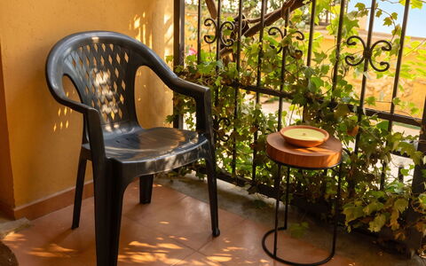 City and Coast: Balcone, Color Legno, Pianta Della Casa, Mobili Da Esterno, Vaso Di Fiori