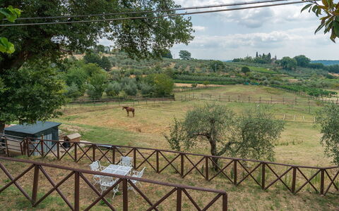 Casa Elia 6: Albero, Plain, Area Rurale, Recinzione, Pascolo, Home Scherma, Parco, Azienda Agricola, Ranch